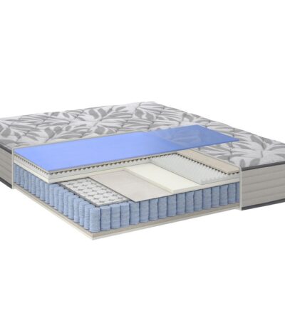 20092022 SEALY BALANCE CUT