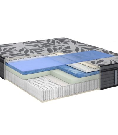 20092022 SEALY MAGNIFICENT CUT