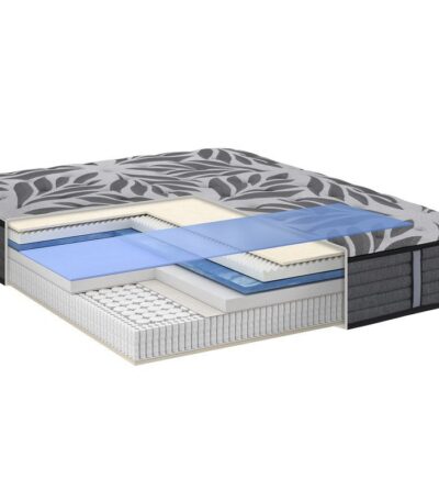 20092022 SEALY VITALITY CUT